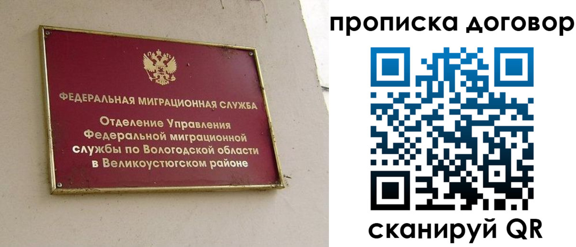 прописка поиск в Егорьевске